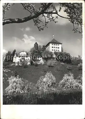 Gelfingen Schloss Heidegg Kapelle Herrenhaus Kat. Gelfingen