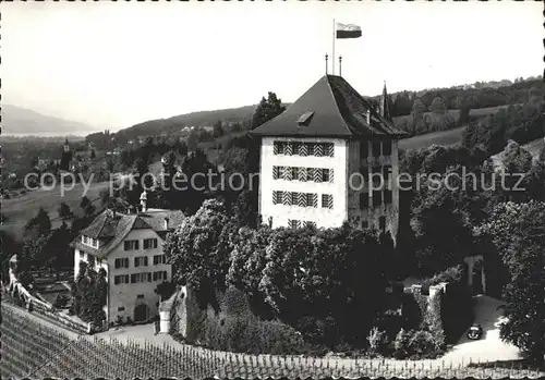 Gelfingen Schloss Heidegg Kat. Gelfingen