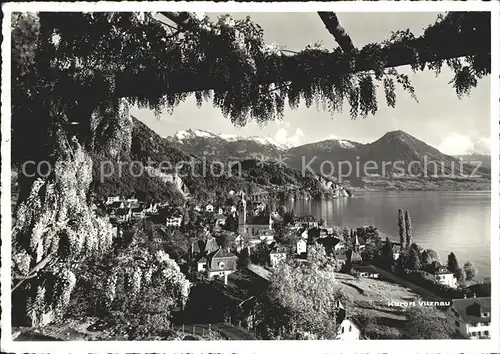 Vitznau Glyzinen Bergola Schwalmis Buochserhorn Kat. Vitznau