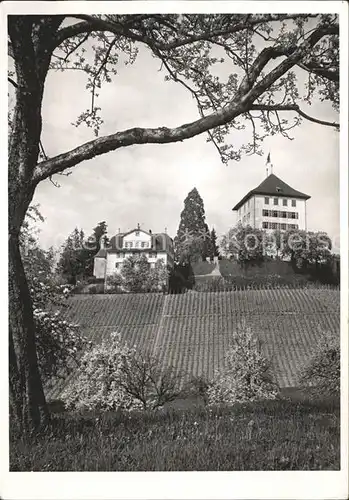 Gelfingen Schloss Heidegg Herrenhaus Kapelle Kat. Gelfingen