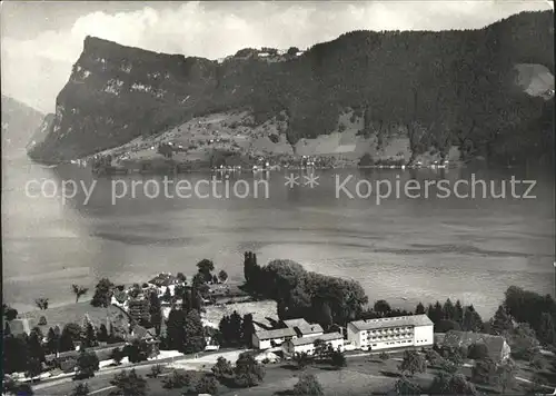 Kastanienbaum Kurheim St. Chrischona Kat. Kastanienbaum