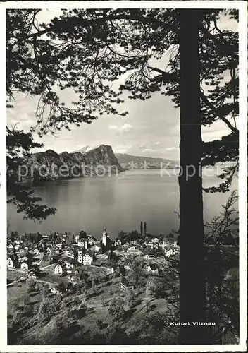 Vitznau Buergenstock Vierwaldstaettersee  Kat. Vitznau