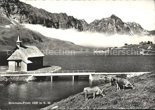 Melchsee Frutt Kapelle Kuehe Hotel Reinhard  Kat. Melchsee Frutt