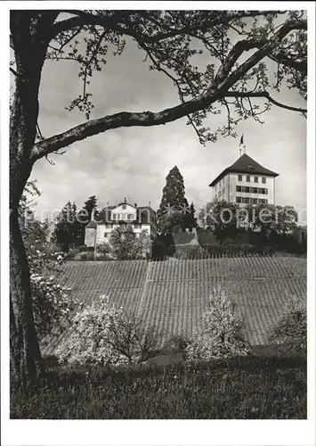 Gelfingen Schloss Heidegg Herrenhaus Kapelle Kat. Gelfingen