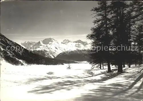 Samedan schneelandschaft Kat. Samedan