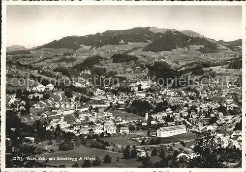 Wald ZH Panorama mit Scheidegg und Hoernli Kat. Wald ZH