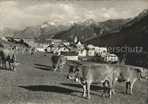 Guarda Inn mit Piz Pisoc Kuehe Kat. Guarda