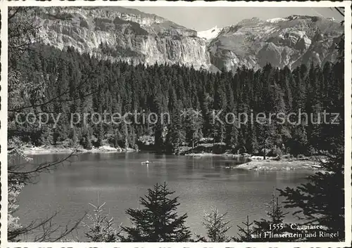 Flims Waldhaus Caumasee mit Flimserstein und Ringel Bergsee Kat. Flims Waldhaus