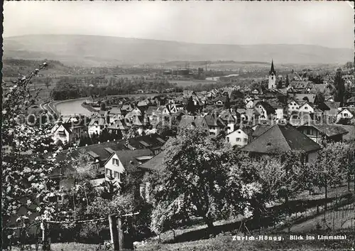 Hoengg Zuerich Panorama Blick ins Limmattal Baumbluete Kat. Hoengg