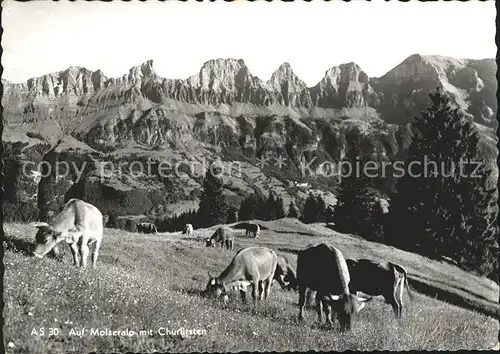 Tannenbodenalp Moiseralp Motiv mit Churfirsten Kat. Tannenbodenalp