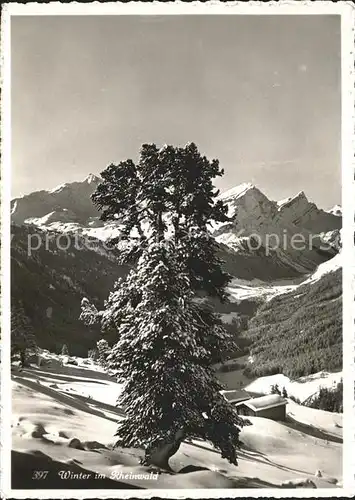 Spluegen Hinterrhein Winter im Rheinwald Kat. Spluegen