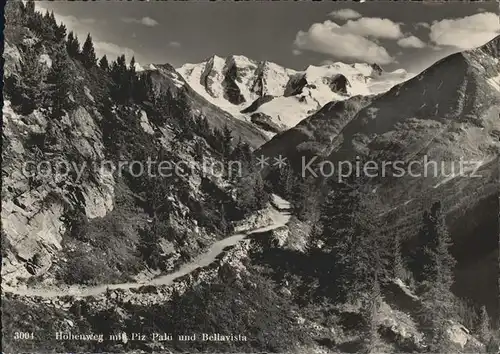 Pontresina H?henweg mit Piz Pal? Kat. Pontresina