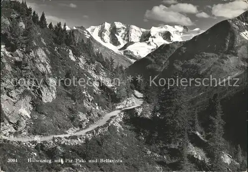 Pontresina H?henweg mit Piz Pal? Kat. Pontresina