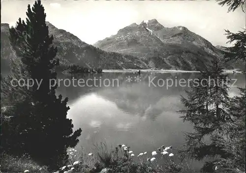 Silsersee Isola und Piz della Margna Kat. Sils Maria