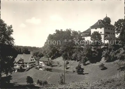 Grueningen ZH Schloss alte Muehle / Grueningen /Bz. Hinwil