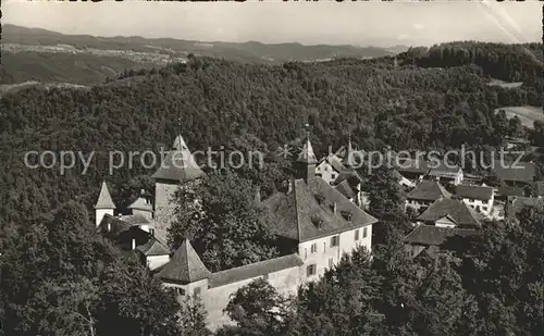 Kyburg Fliegeraufnahme Burg Kat. Kyburg