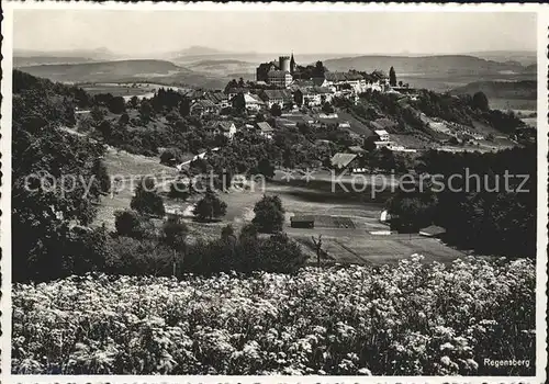 Regensberg Dielsdorf Einladung zur Weihnachtsfeier Kat. Regensberg