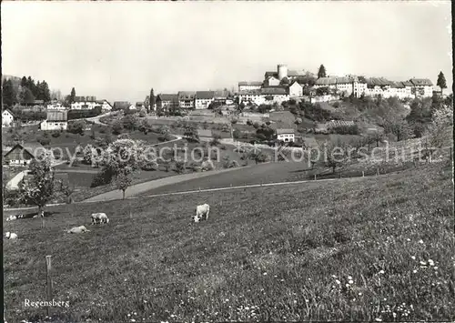 Regensberg Dielsdorf  Kat. Regensberg