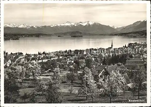 Waedenswil mit See und Alpen Kat. Waedenswil