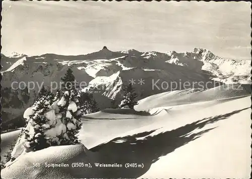 Spitzmeilen mit Weissmeilen Panorama Kat. Spitzmeilen