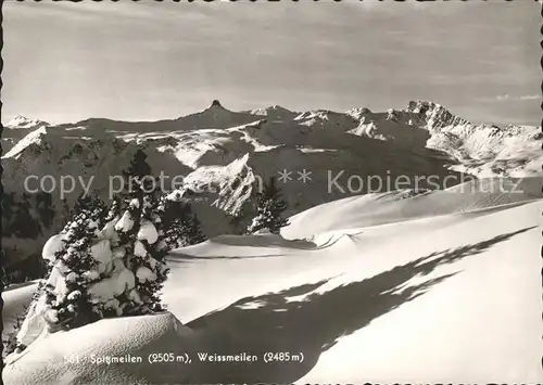 Spitzmeilen mit Weissmeilen Panorama Kat. Spitzmeilen