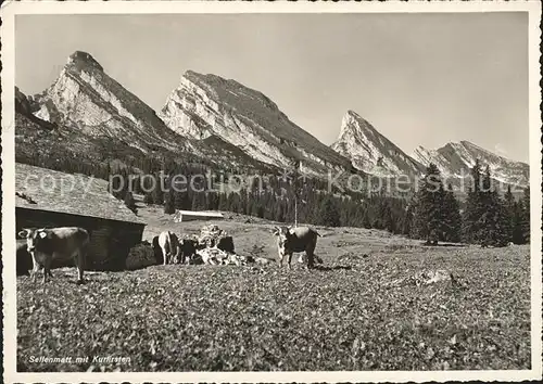 Alt St Johann Alp Sellamatt mit Churfirsten Kat. Alt St Johann