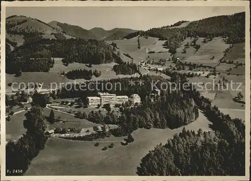 Faltigberg Zuercher Heilstaette Wald Kat. Faltigberg