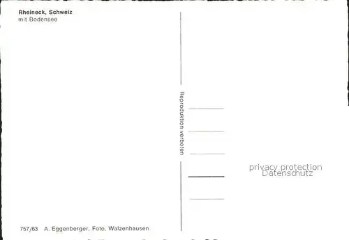 Rheineck SG Panorama mit Bodensee Kat. Rheineck