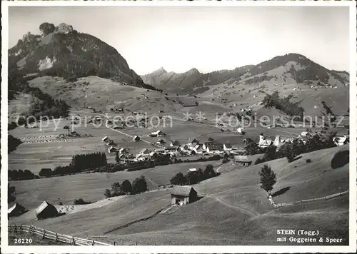 Stein SG mit Goggelen und Speer Kat. Stein SG