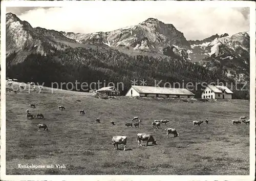 Kunkelspass Viehweide Kat. Kunkelspass