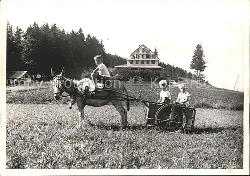 Pfannenstiel Staefa Hotel Hochwacht Eselkarren mit Kindern Kat. Pfannenstiel