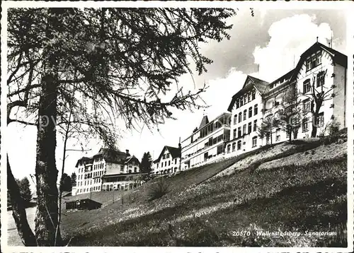 Walenstadtberg Sanatorium Kat. Walenstadtberg