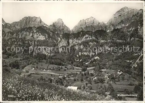 Walenstadtberg Teilansicht Kat. Walenstadtberg