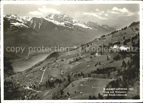 Walenstadtberg mit Walensee und Muertschenstock Kat. Walenstadtberg