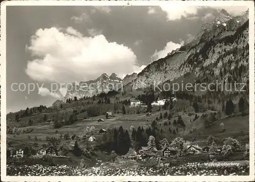 Walenstadtberg Panorama Kat. Walenstadtberg