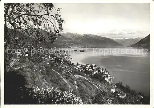 Brissago Blick von Bellavista  / Brissago /Bz. Locarno