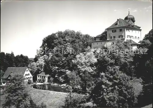 Grueningen ZH Landvogtei Schloss mit alter Muehle / Grueningen /Bz. Hinwil