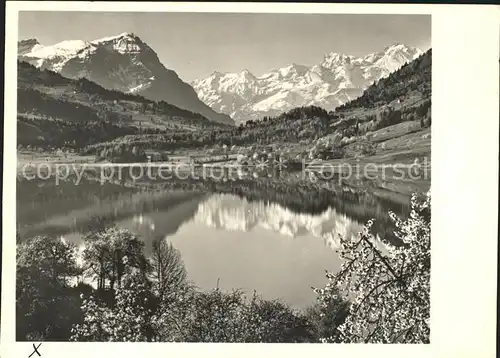 Oberaegeri Am Aegerisee Kat. Oberaegeri