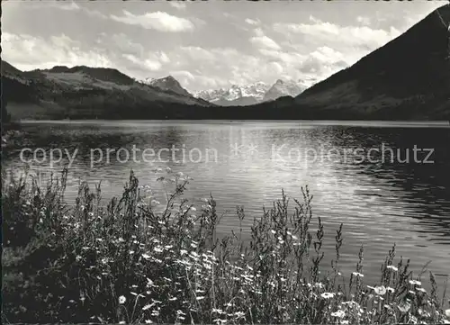 Oberaegeri Am Aegerisee Kat. Oberaegeri