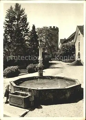 Regensberg Dielsdorf Oberburger Brunnen mit Schlossturm Kat. Regensberg