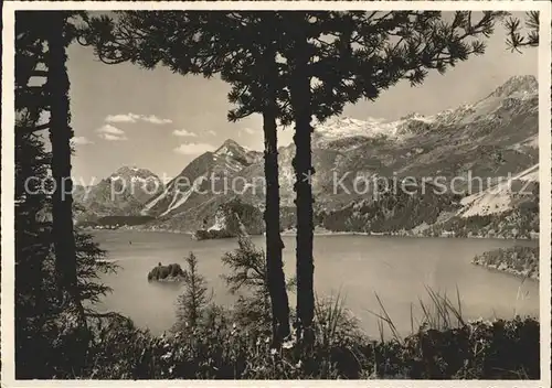 Sils Maria Graubuenden Blick von Bellavista auf Silsersee und Maloja Kat. Sils Maria