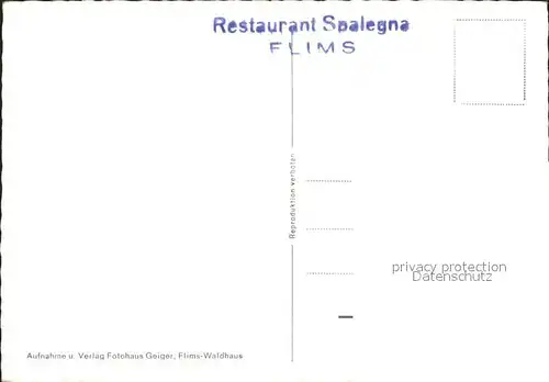 Flims Waldhaus Restaurant Spalegna Mann mit Akordeon Kat. Flims Waldhaus