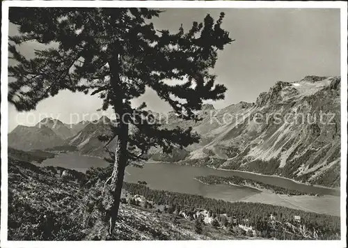 Silsersee Halbinsel Chast? und Maloja Kat. Sils Maria