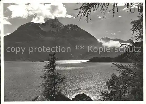 Silsersee mit Piz della Margna Kat. Sils Maria