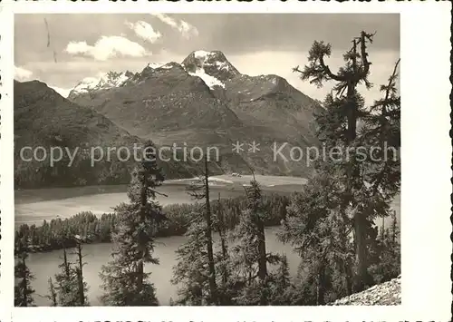 Silsersee mit Piz della Margna Kat. Sils Maria