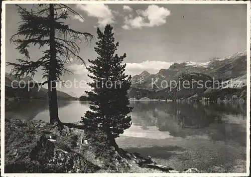 Silsersee Panorama mit Maloja Kat. Sils Maria