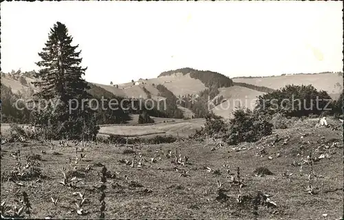 Ramiswil Pension Waldheim Brunnersberg Blick gegen Gueggel Kat. Ramiswil