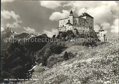 Tarasp Schloss mit Piz Nair Bergwiese Kat. Tarasp