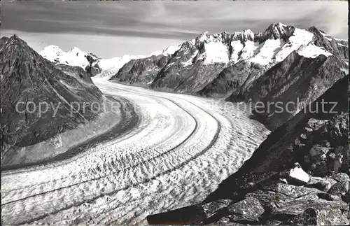 Bettmerhorn Moench Aletschgletscher Kat. Bettmerhorn