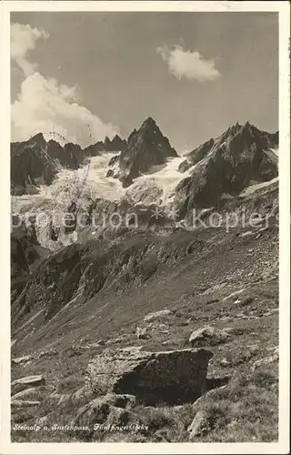 Sustenpass Steinalp Fuenffingerstoecke Kat. Susten